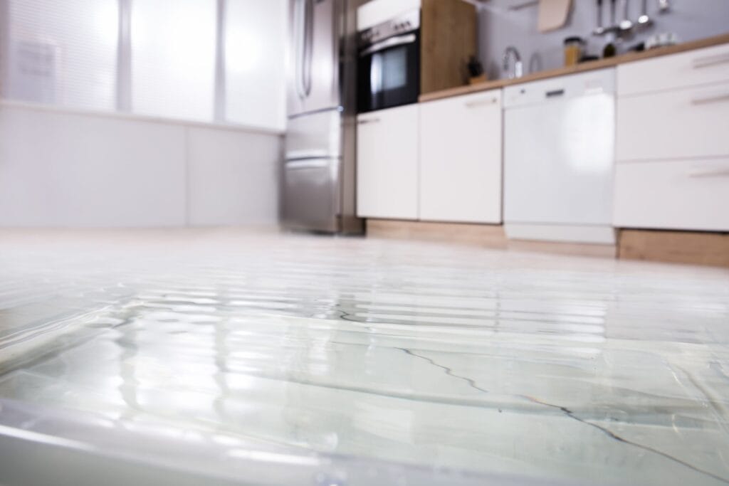 What To Do If You Have Water or Flood Damage