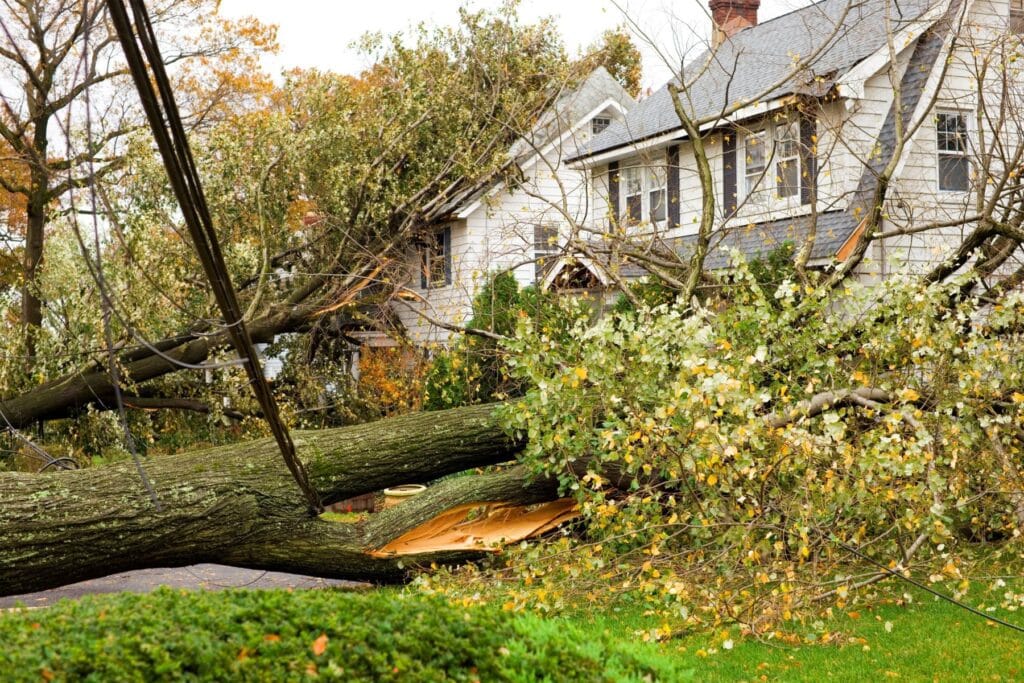 Does My Insurance Policy Cover Storm Damage?