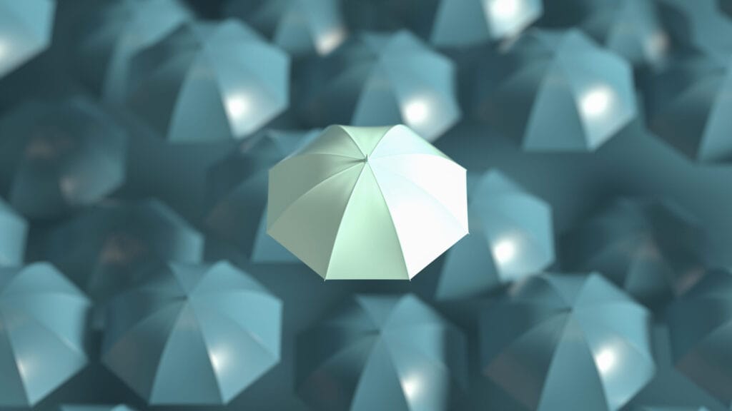 A Basic Guide to Rain Damage Insurance Claims