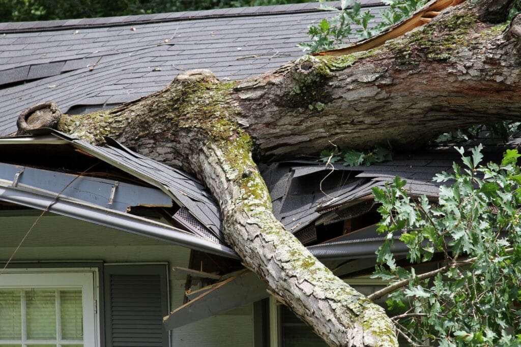 What to Know About Storm Damage Insurance Claims 