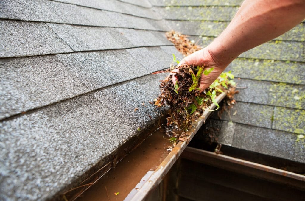 Property Maintenance Tips to Avoid Drain & Gutter Damage
