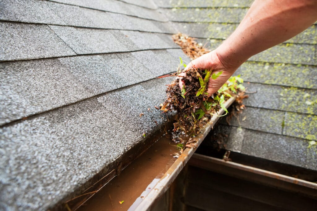 Property Maintenance Tips to Avoid Drain & Gutter Damage