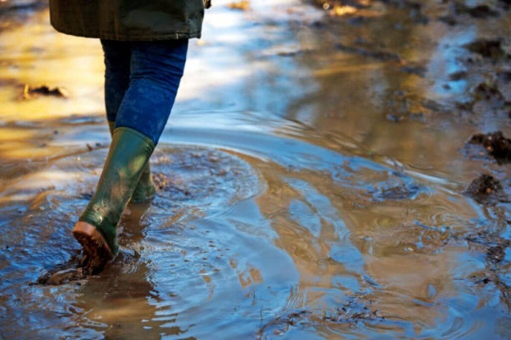 Avoid a Flood Damage Claim: How to Prepare for a Flood
