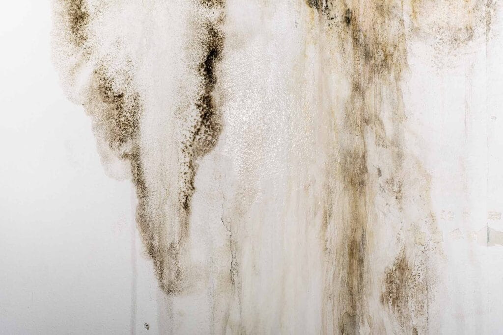 Key Places to Look for Hidden Water Damage at Home