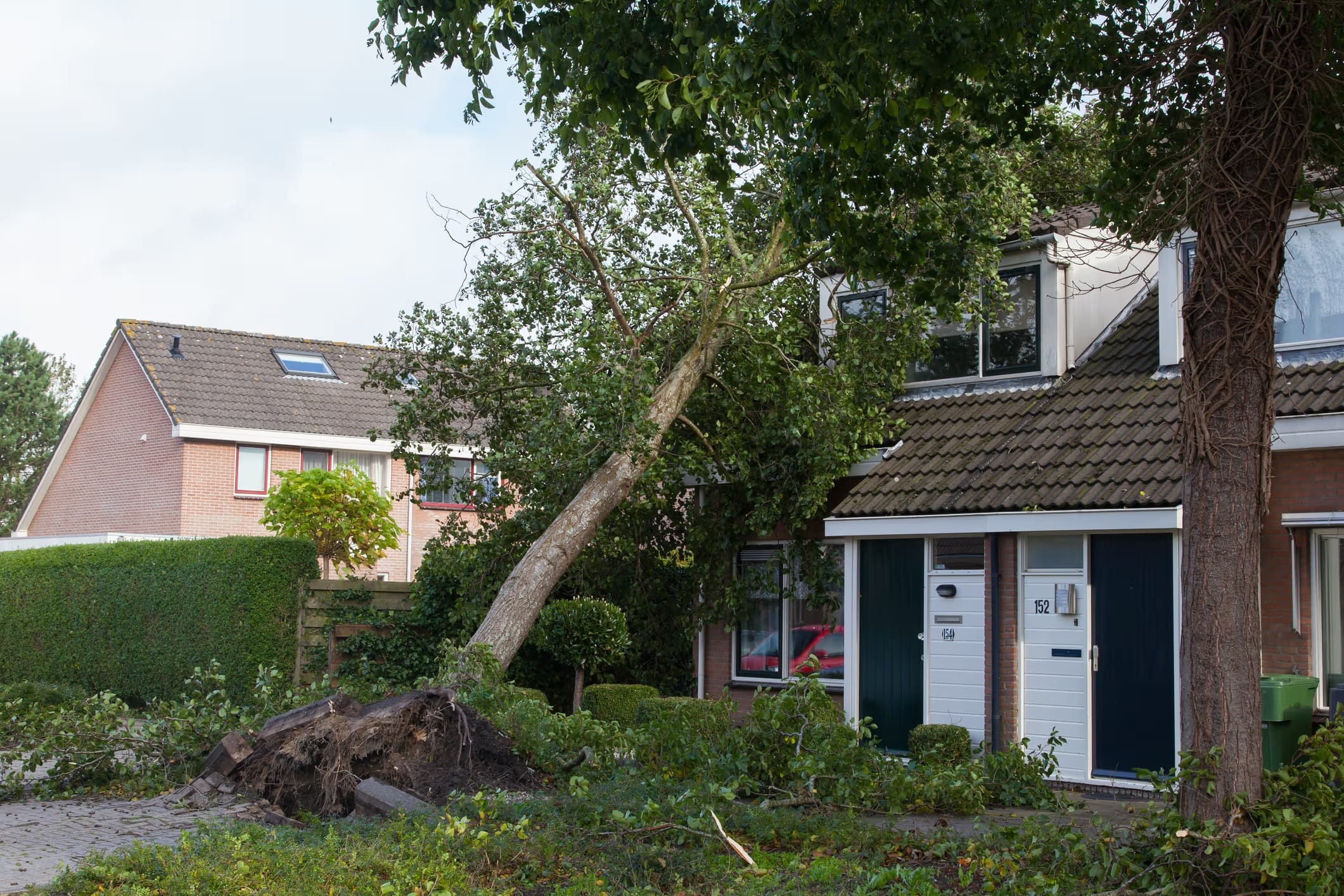 A Comprehensive Guide to Storm Damage Insurance Claims